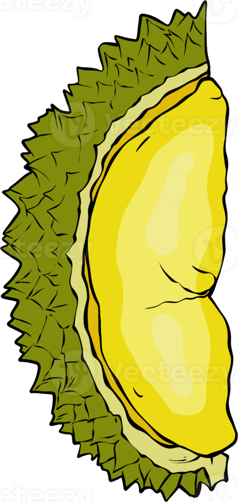 exotic fruit graphic png