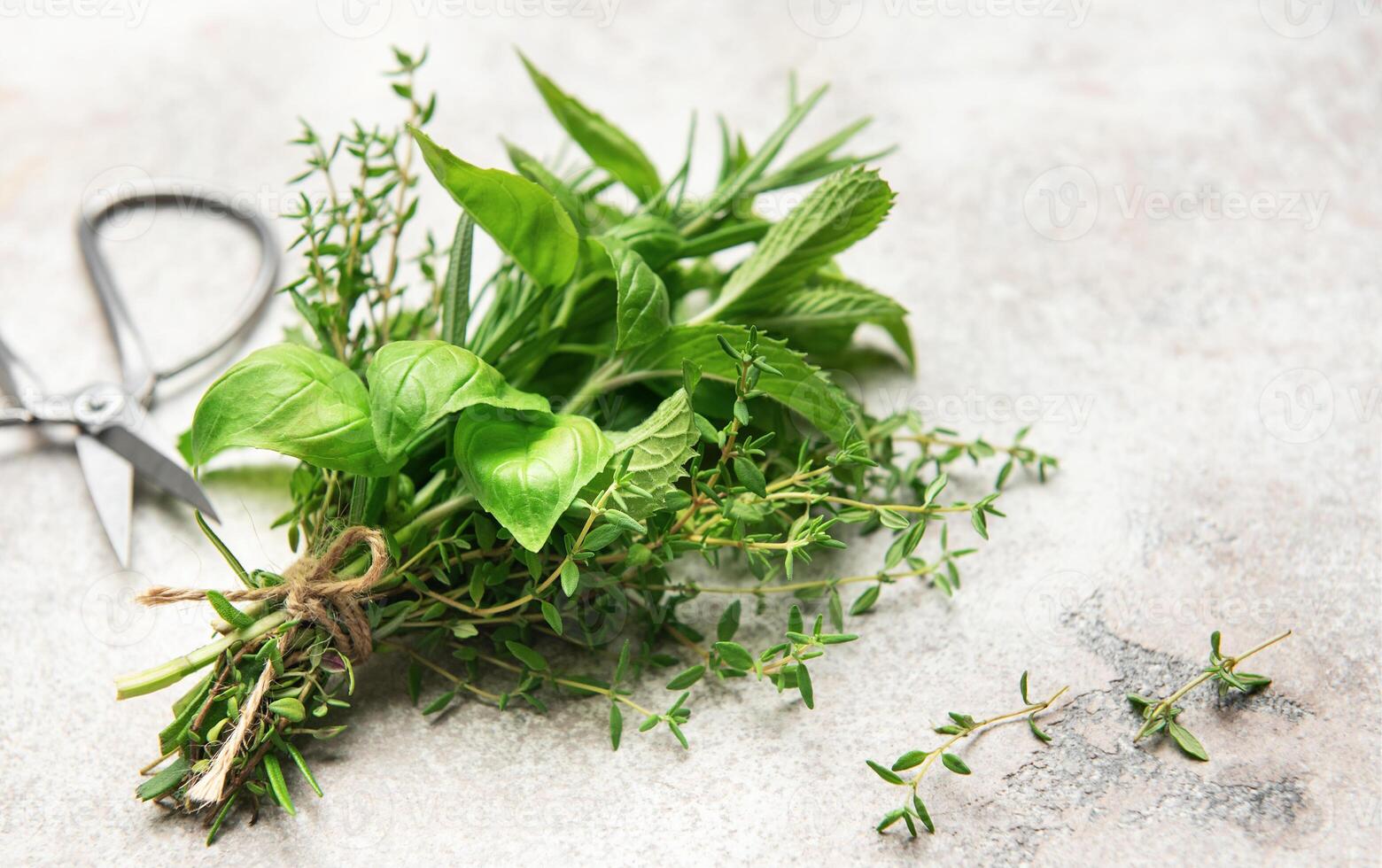 Fresh herb tied together with twine on gray table with scissors photo