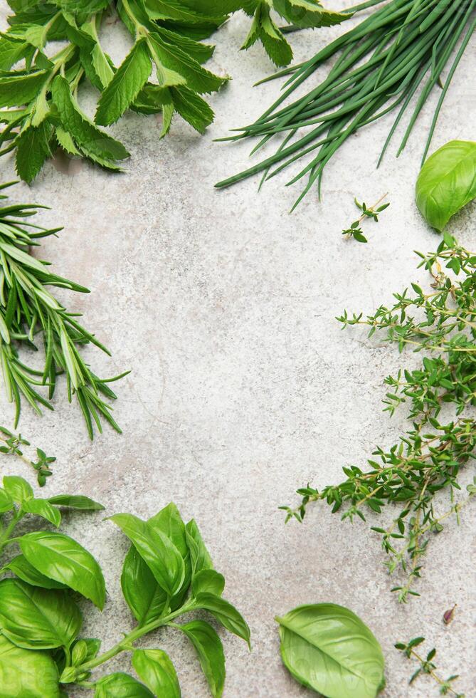 Fresh herbs bordering a rustic gray background photo