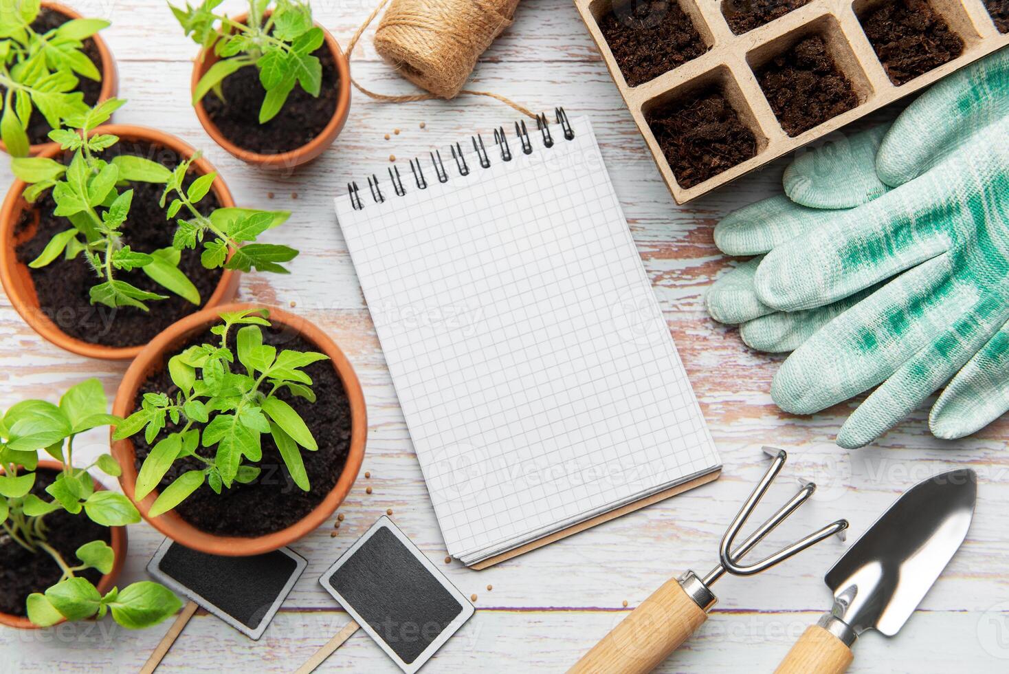 Gardening tools, seedlings and blank notebook on white table photo