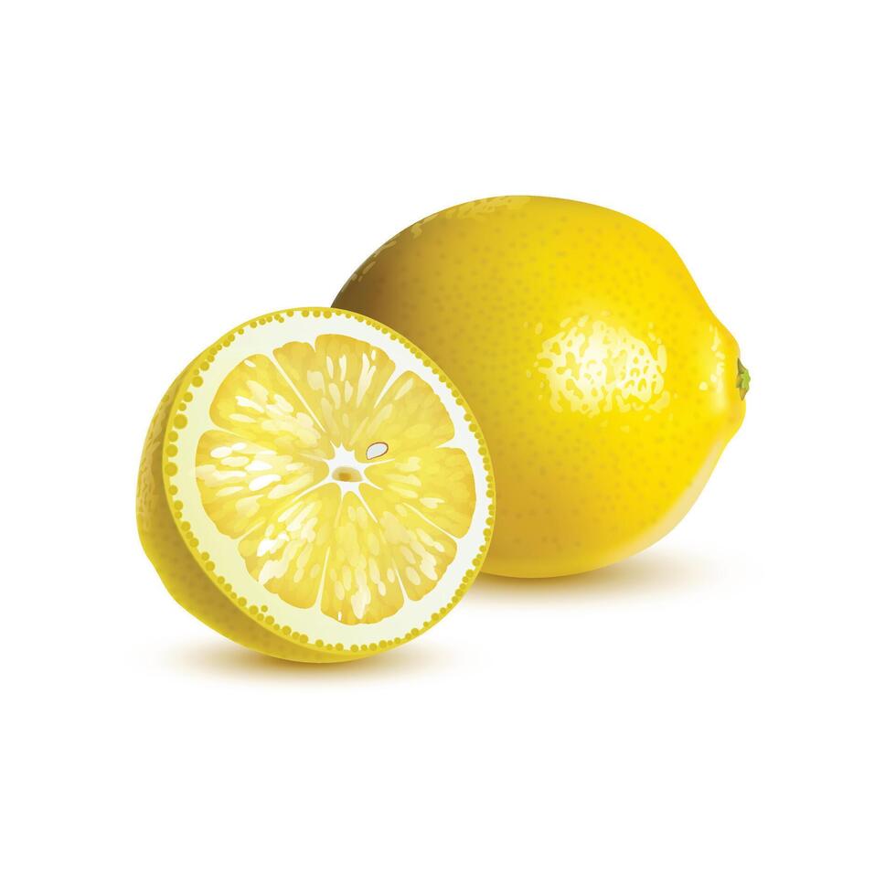 Lemon fruit isolated on white background vector