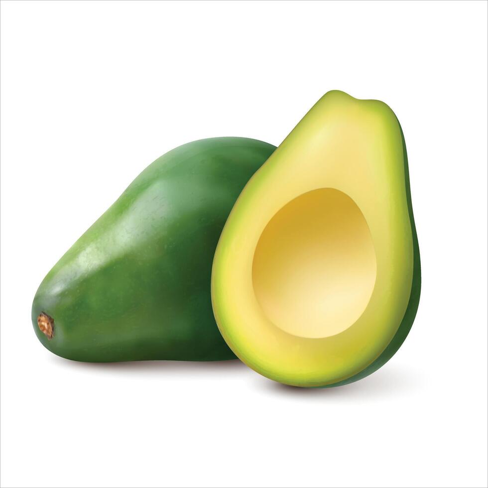 Half avocado and whole avocado isolated on white background vector