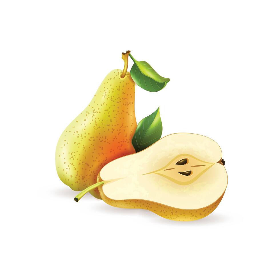 Pear fruit with slices vector