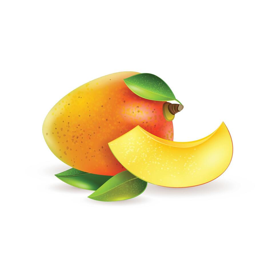 Mango fruit with slices vector