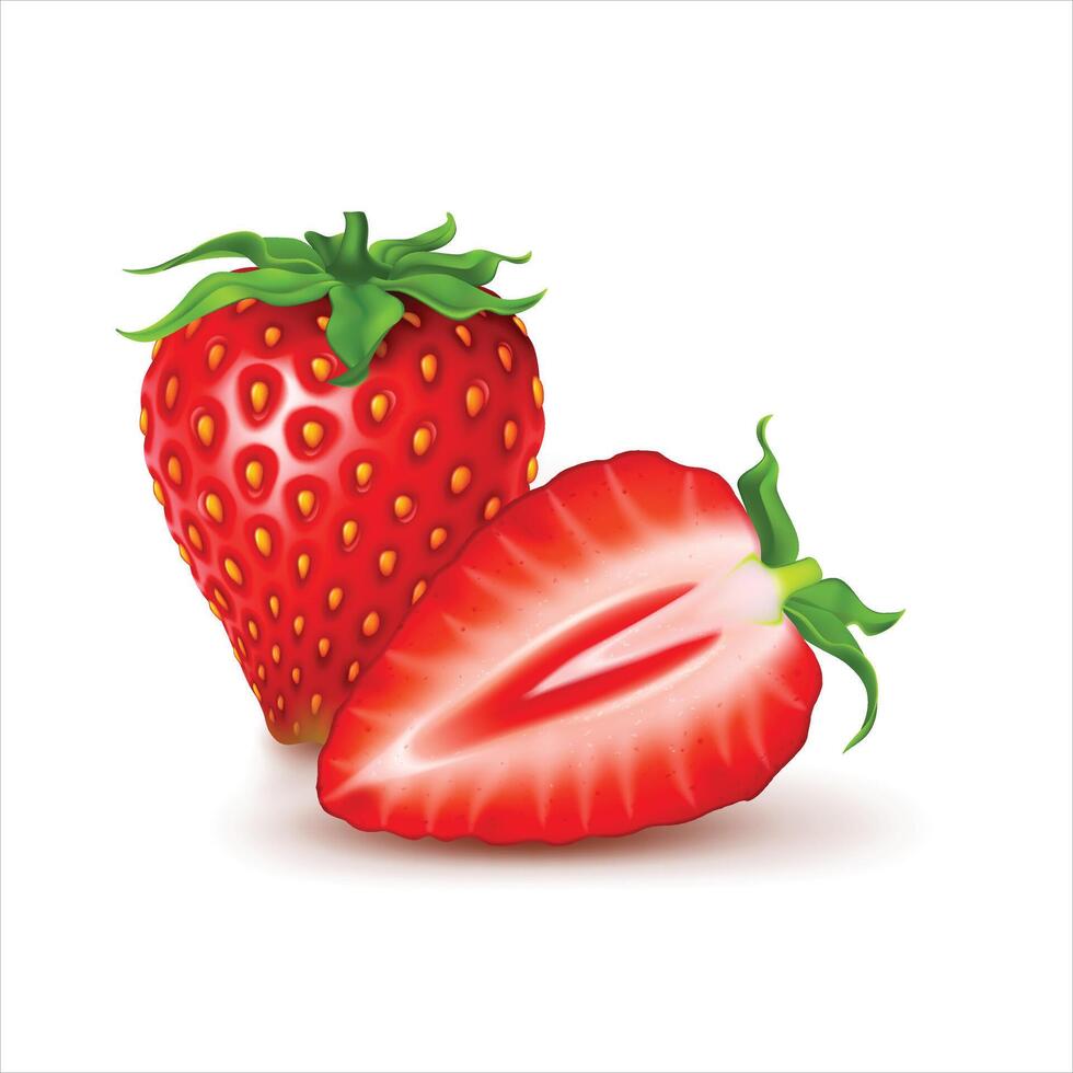 Strawberries with fruit slices vector
