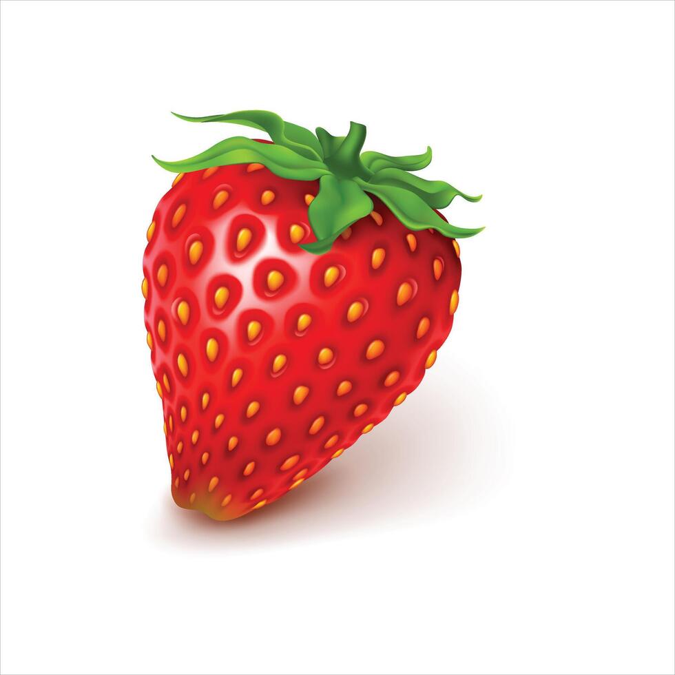 Whole strawberry fruit vector