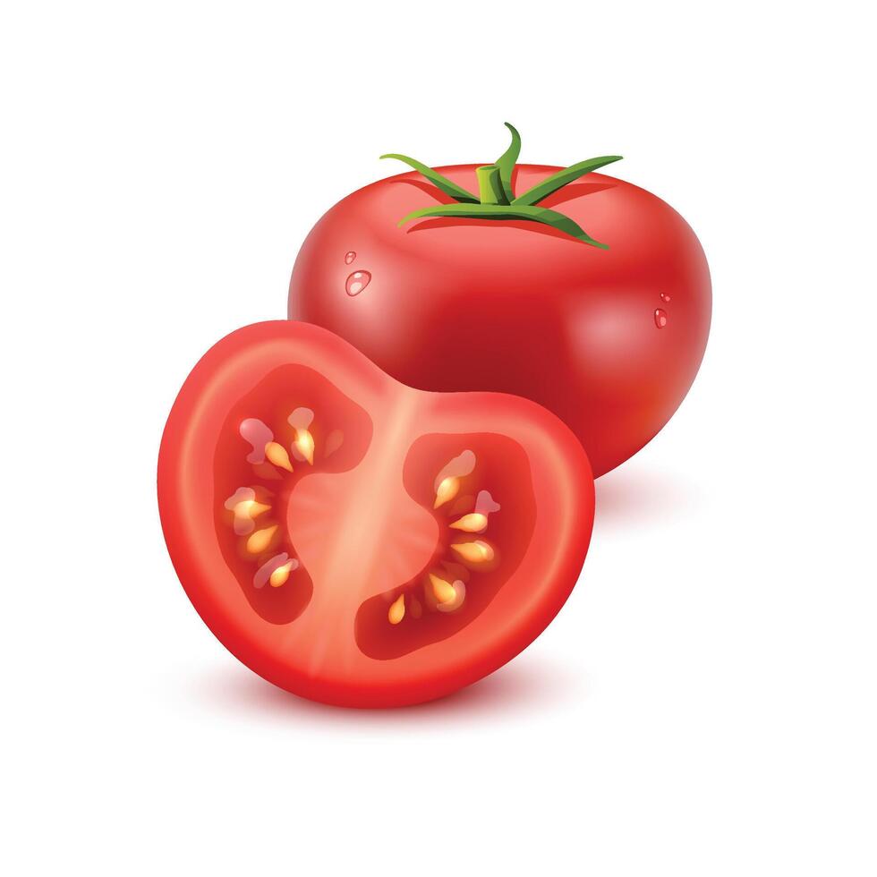 Fresh tomatoes isolated on white background vector