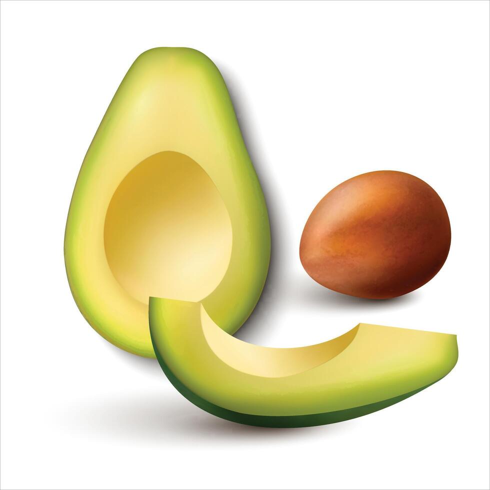 Whole and cut avocado with avocado seed isolated on white background vector