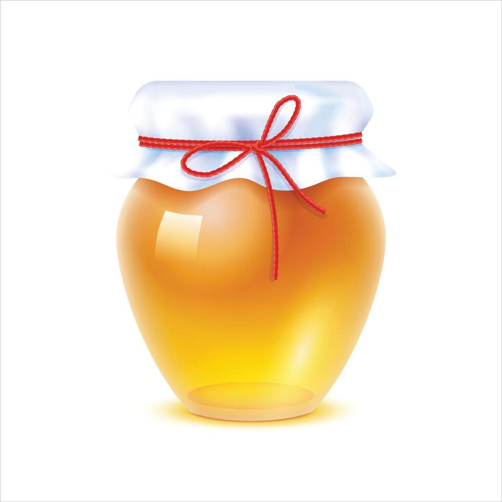 Honey in glass jar vector
