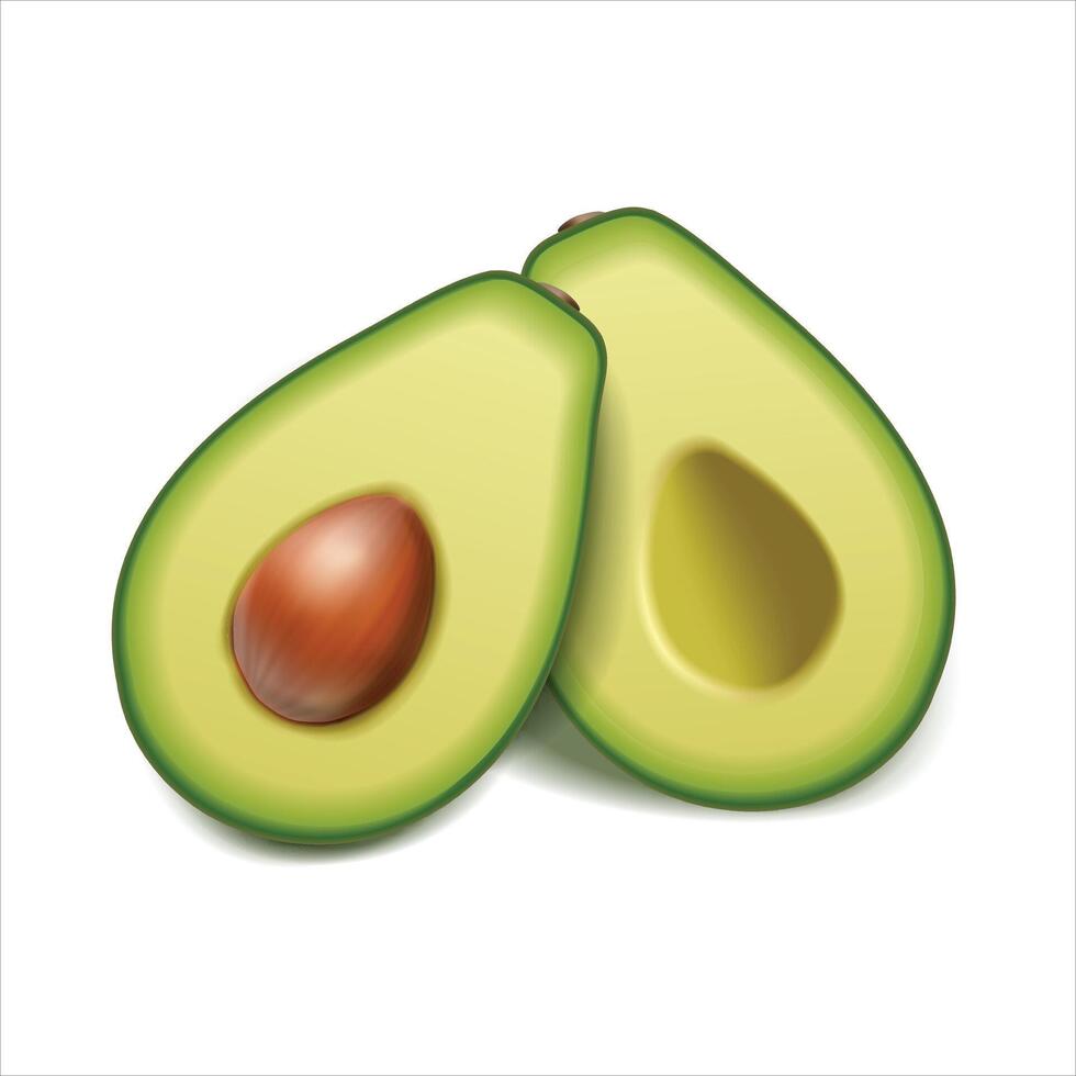 avocado with fruit pieces vector