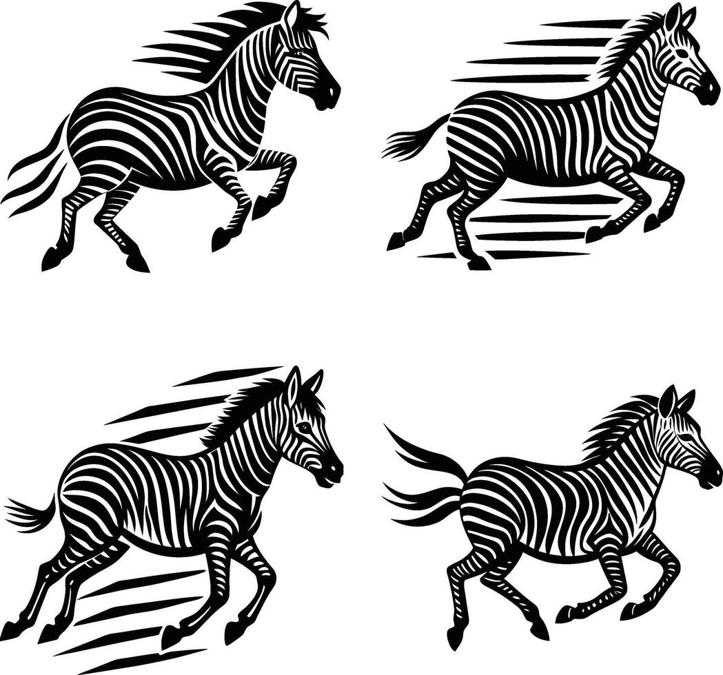 Running zebra illustration in black and white isolated on white background vector