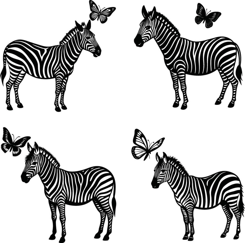 Black and white zebra silhouettes with butterflies wildlife pattern design vector