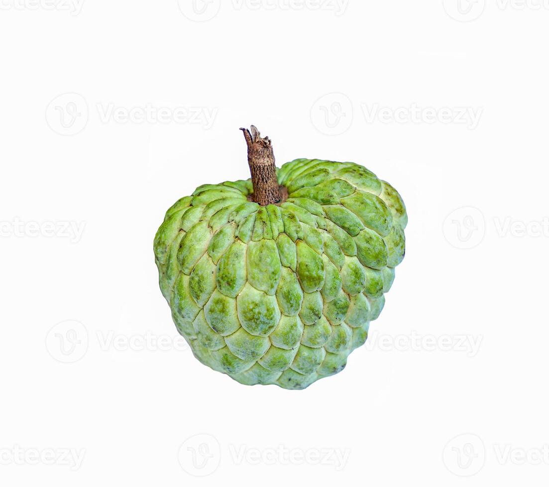 Isolated a fruit of Sugar apple on white background. It is a fruit that has rather round clusters of fruit. Each cavity inside the fruit has white flesh covering seeds. photo