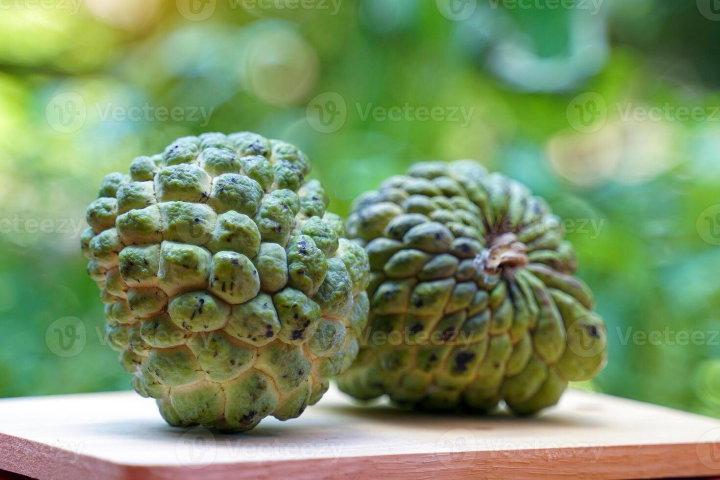 Sugar apple is a fruit that has rather round clusters of fruit. The bark is green and rough with rounded bumps. Each cavity inside the fruit has white flesh covering seeds photo