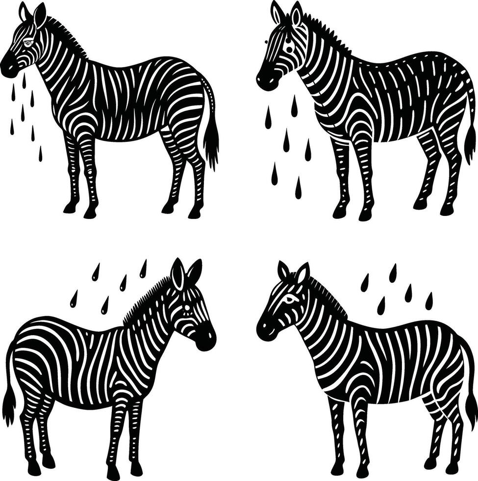 Four black and white zebras with rain graphic illustration style vector
