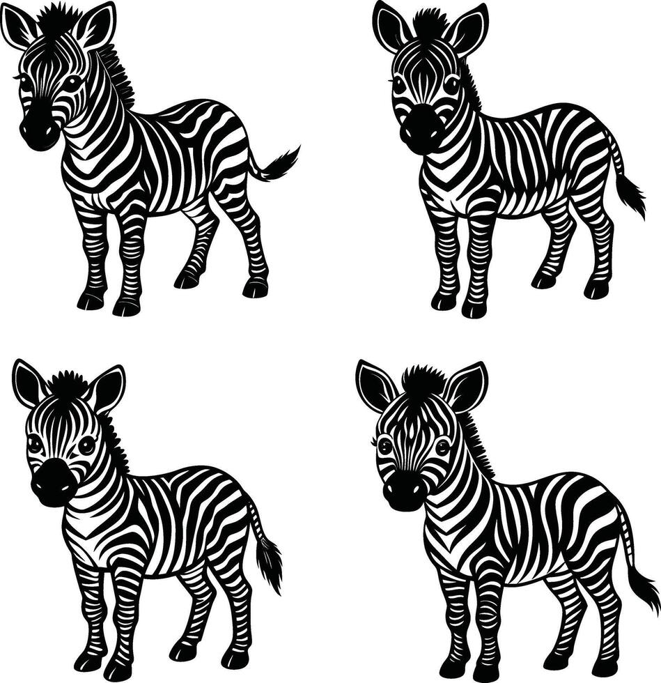Illustration of cute cartoon zebra set in different poses isolated on white vector