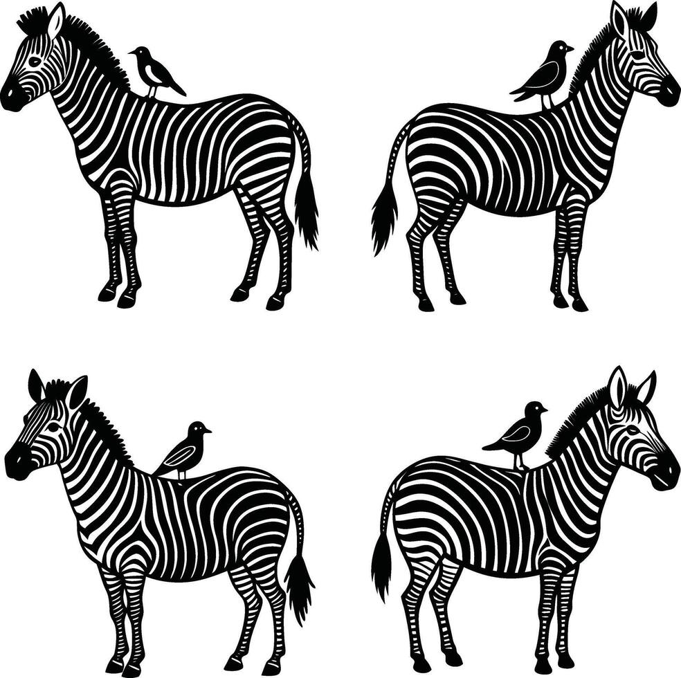 Monochrome zebra animals with birds standing on back repeating pattern vector