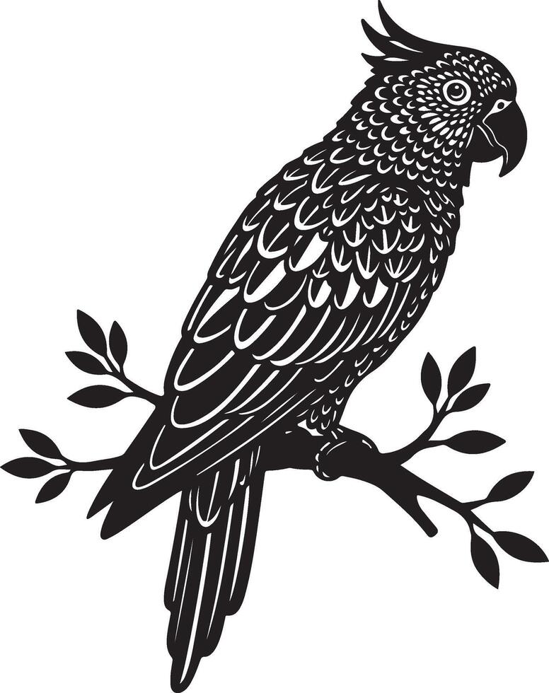 Wings of Elegance Parrot in Shadow vector