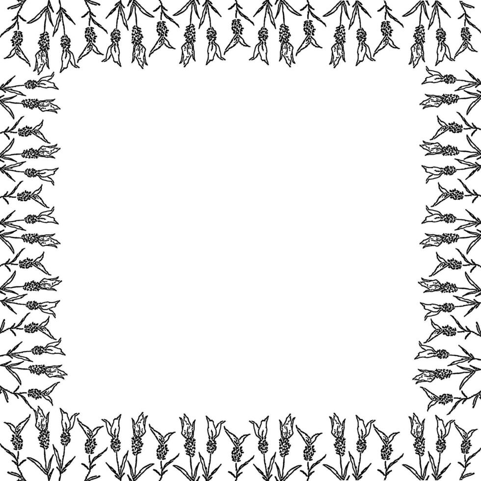 Flourish lavender frame. Trendy botany graphic template. Flowers sketch empty frame box vector