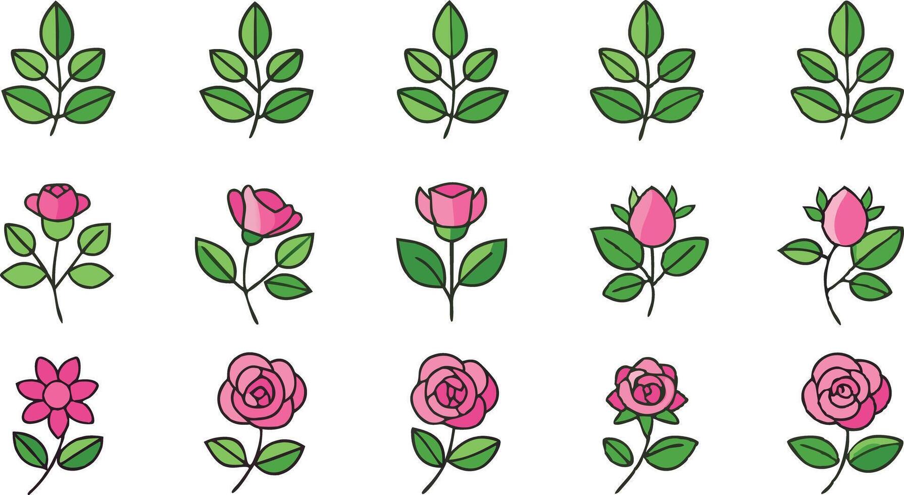 Collection of Pink Roses and Green Leaves in a Flat Style vector
