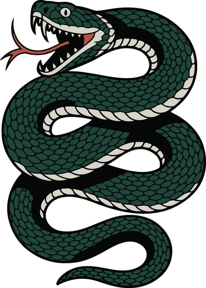 Coiled Green Snake with Open Mouth vector