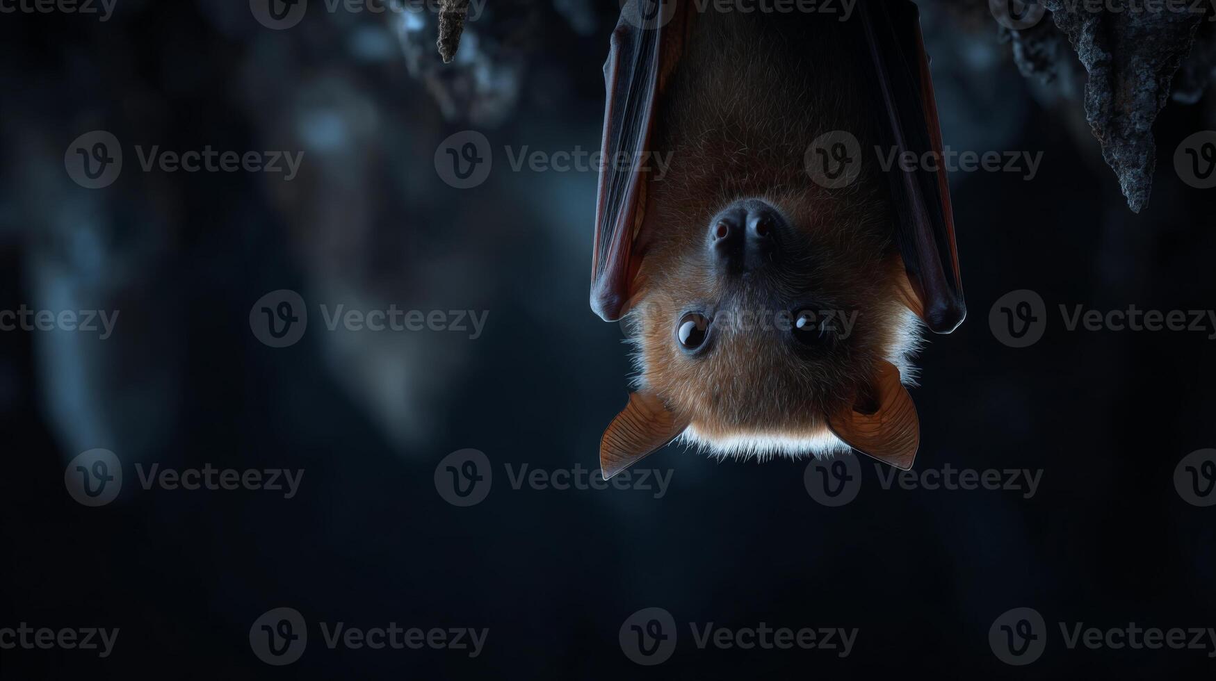 Cute bat hanging upside down in a dark cave environment, showcasing intricate details and textures of its fur and wings photo