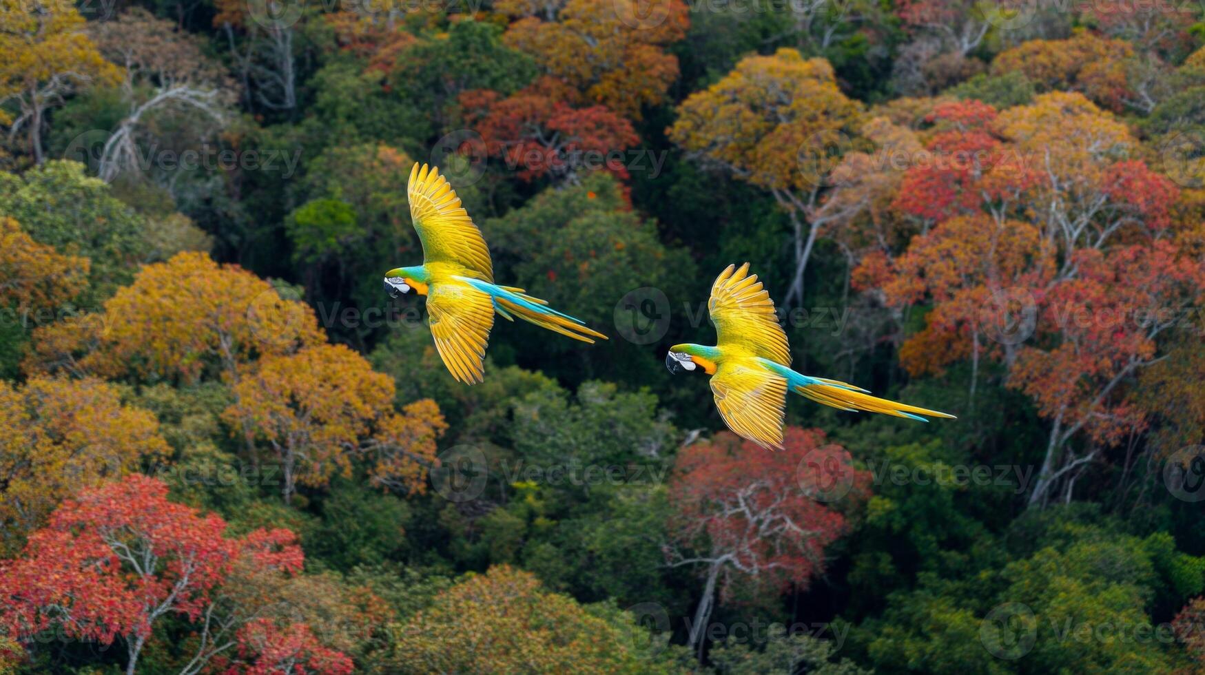 Colorful Parrots Flying Over Vibrant Autumn Forest Canopy with Rich Foliage and Lush Green Trees in Background photo