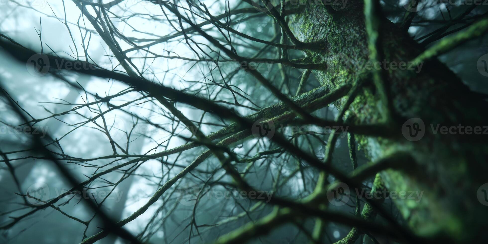 Close-Up View of Twisted Tree Branches Surrounded by Mist in a Dense Forest Setting photo