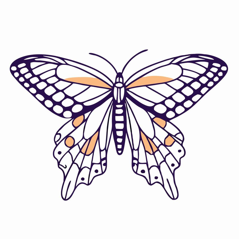 Elegant Line Art Butterfly Illustration vector