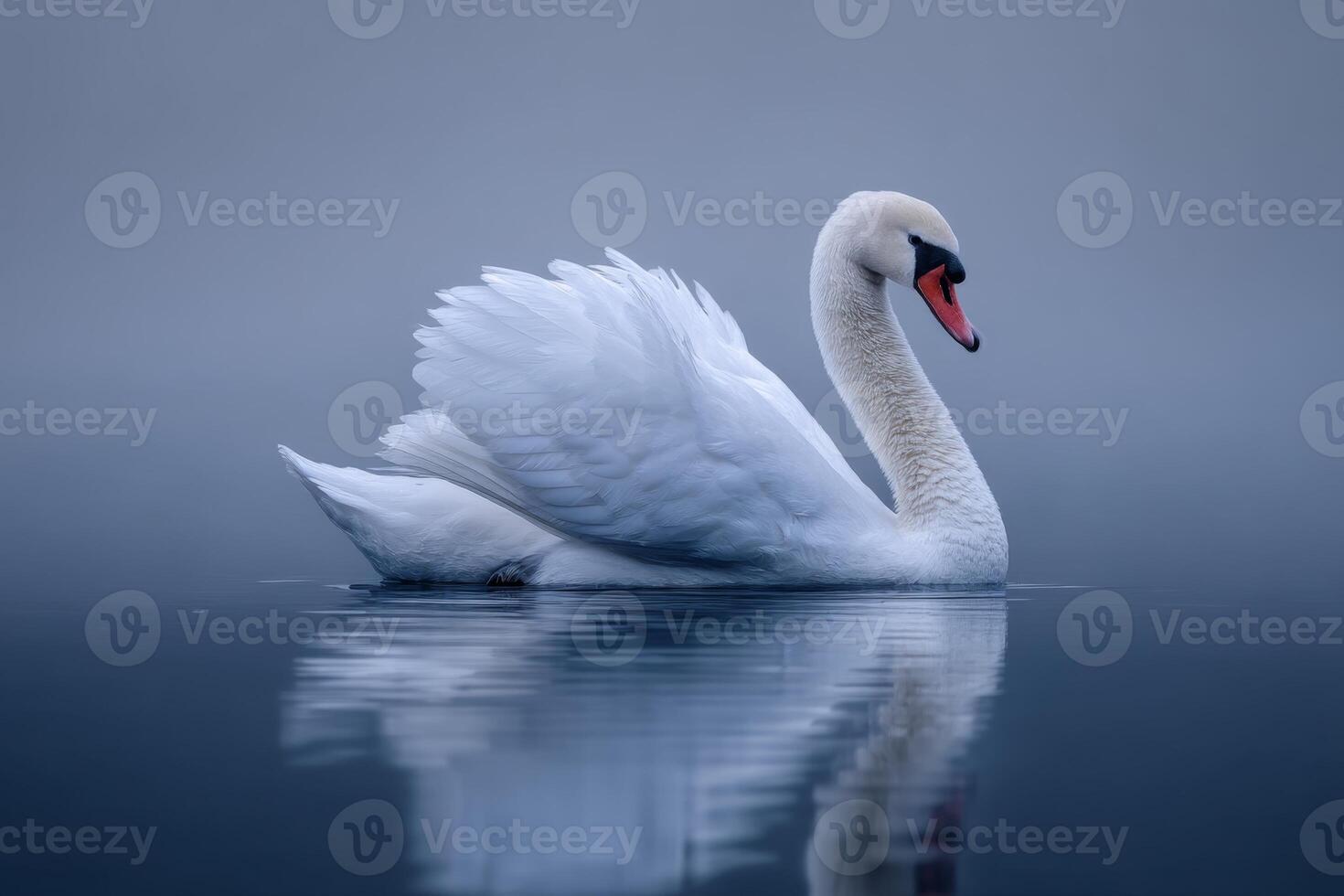 Elegant swan gliding on mirror-like water with misty background, showcasing beauty and tranquility in nature photo
