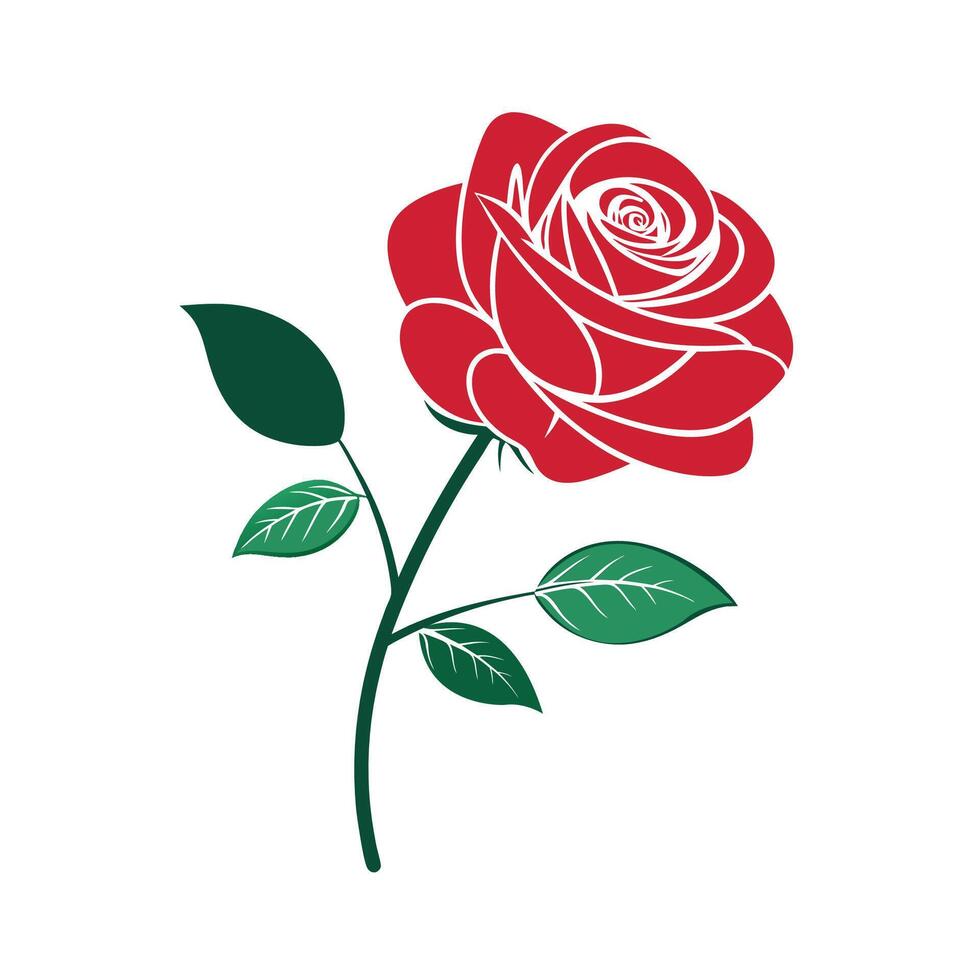 Elegant Red Rose Illustration with Green Leaves on a White Background, Perfect for Valentine's Day vector
