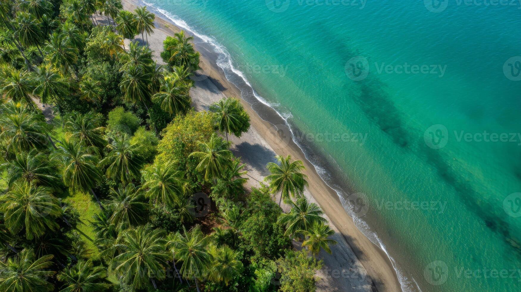 Aerial View of Tranquil Beach Surrounded by Lush Green Palm Trees and Clear Turquoise Water Under Bright Blue Sky photo