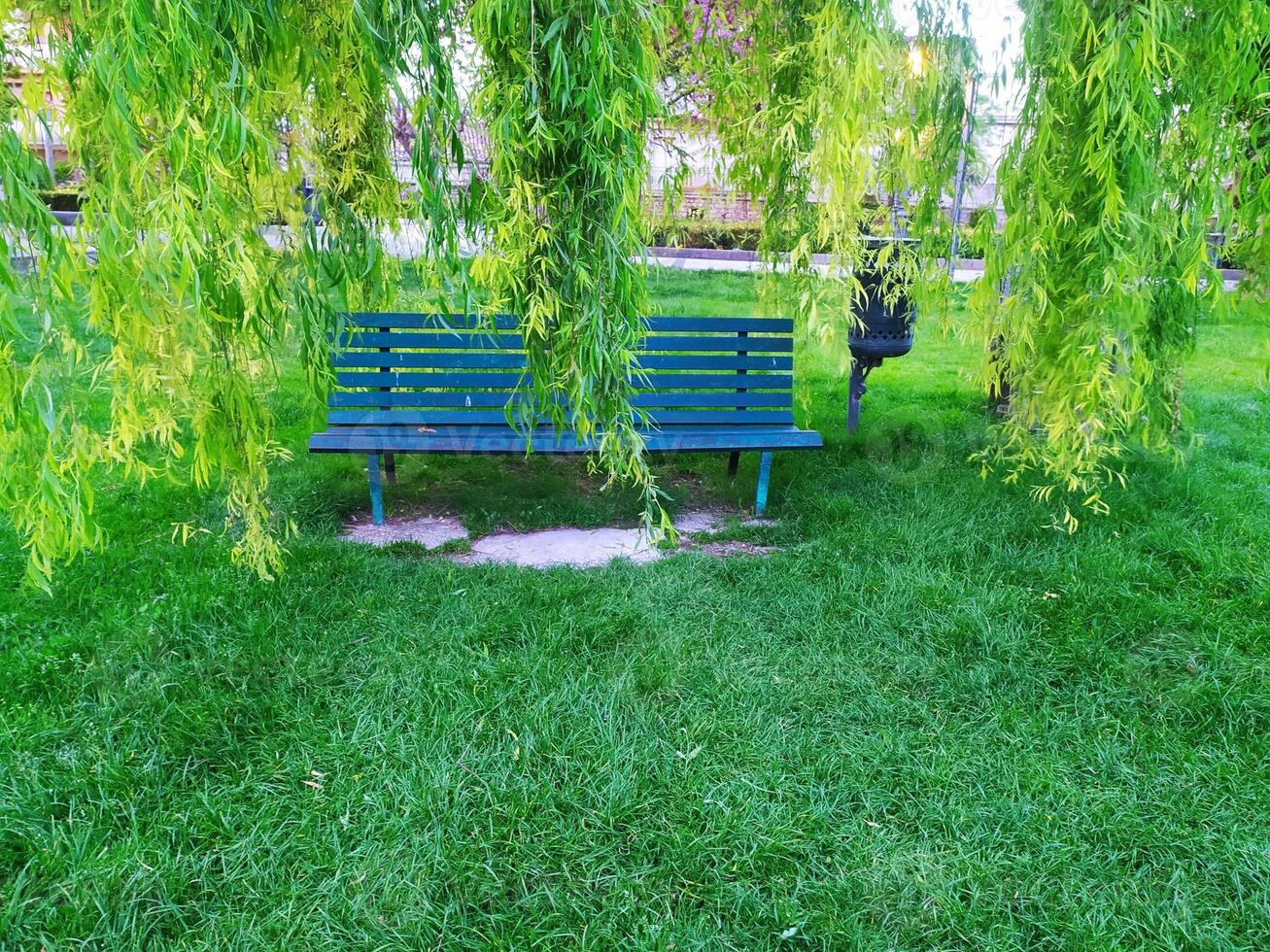 The image depicts a green painted wooden bench, situated in a lush green lawn. The bench is partially shaded by the long, drooping branches of a weeping willow tree. photo
