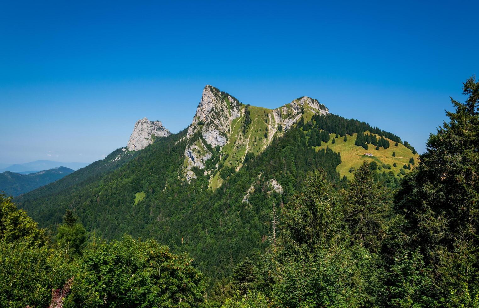 the mountain range in the background is covered in green trees photo