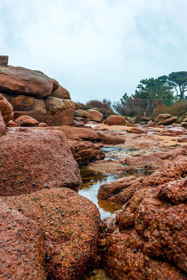 a rocky shore with red rocks and water photo