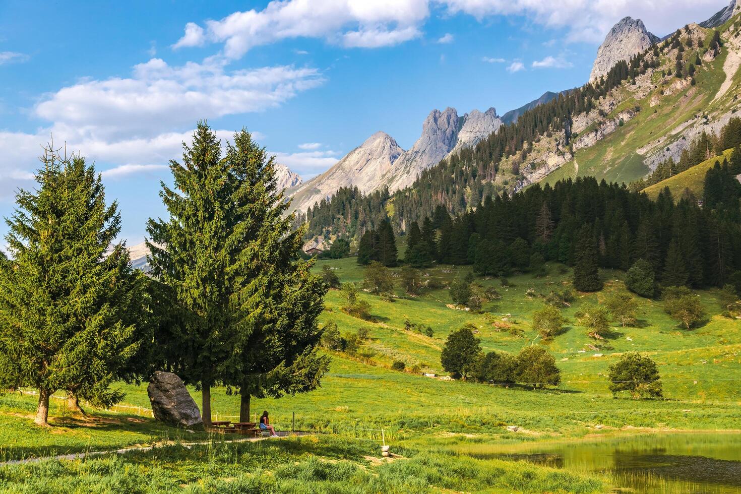 a beautiful mountain landscape with trees and grass photo