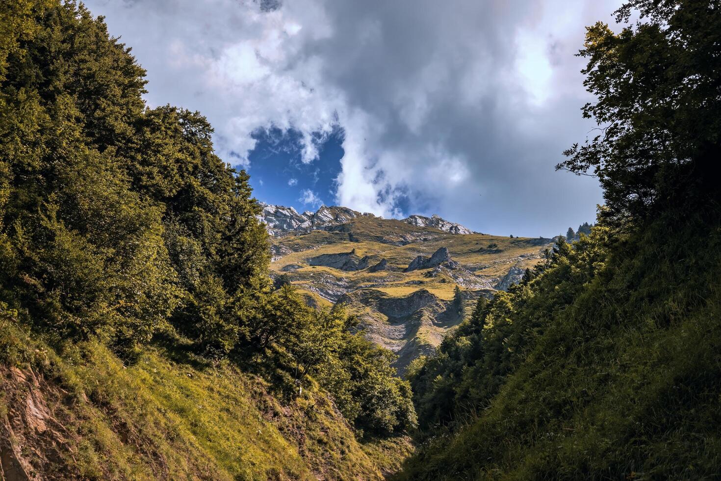 a narrow path leads to a mountain range with trees photo