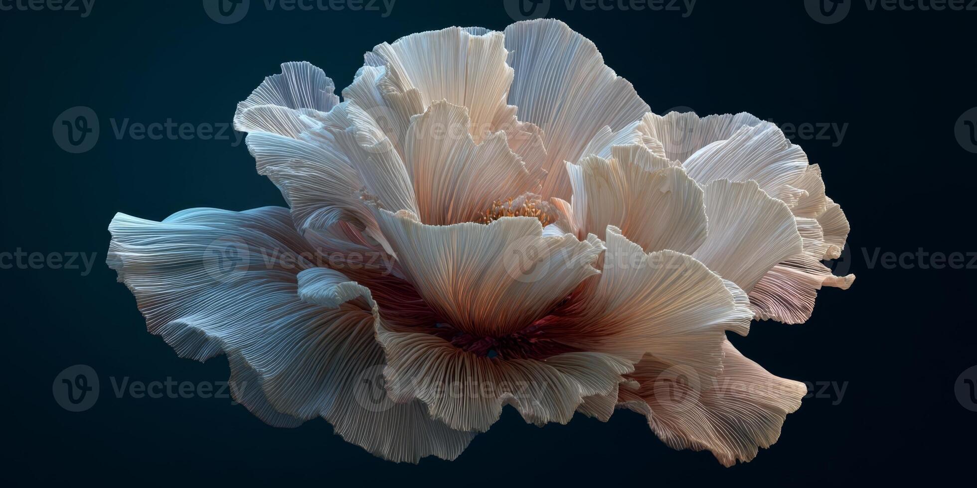 Delicate Flower with Intricate Petals and Soft Color Gradation on Dark Background photo