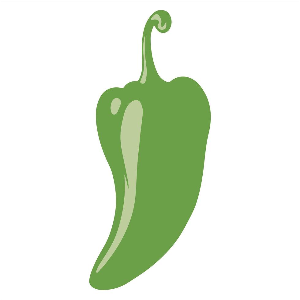 Green jalapenos peppers in a graphic illustration vector