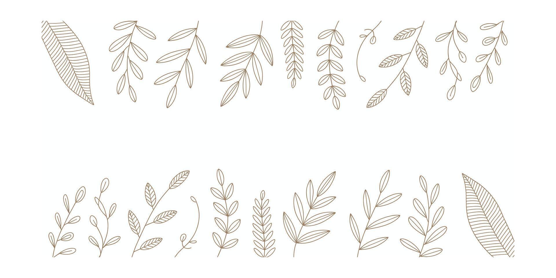 Elegant botanical frame with brown line art leaves vector