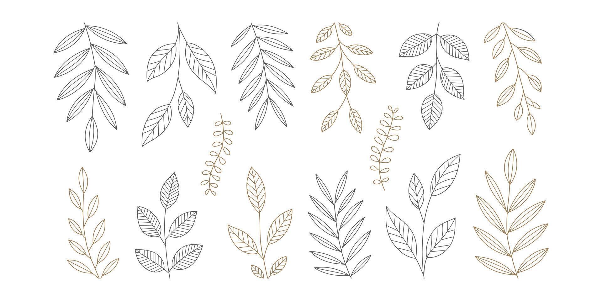 Collection of hand drawn botanical line art leaves vector
