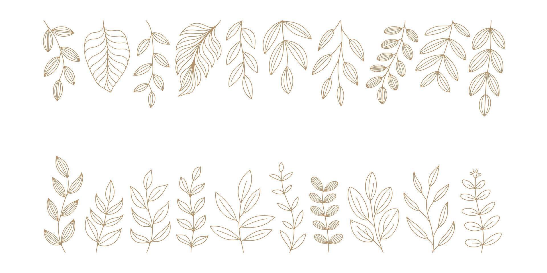 Elegant botanical line art border frame vector