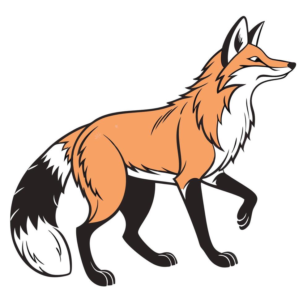 Cartoon illustration of a walking fox in a side view with orange and black colors vector
