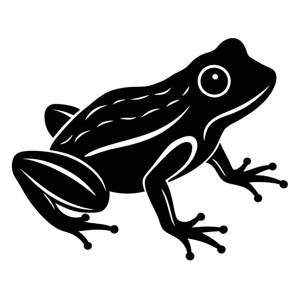 Detailed black and white illustration of a realistic frog against a white background vector