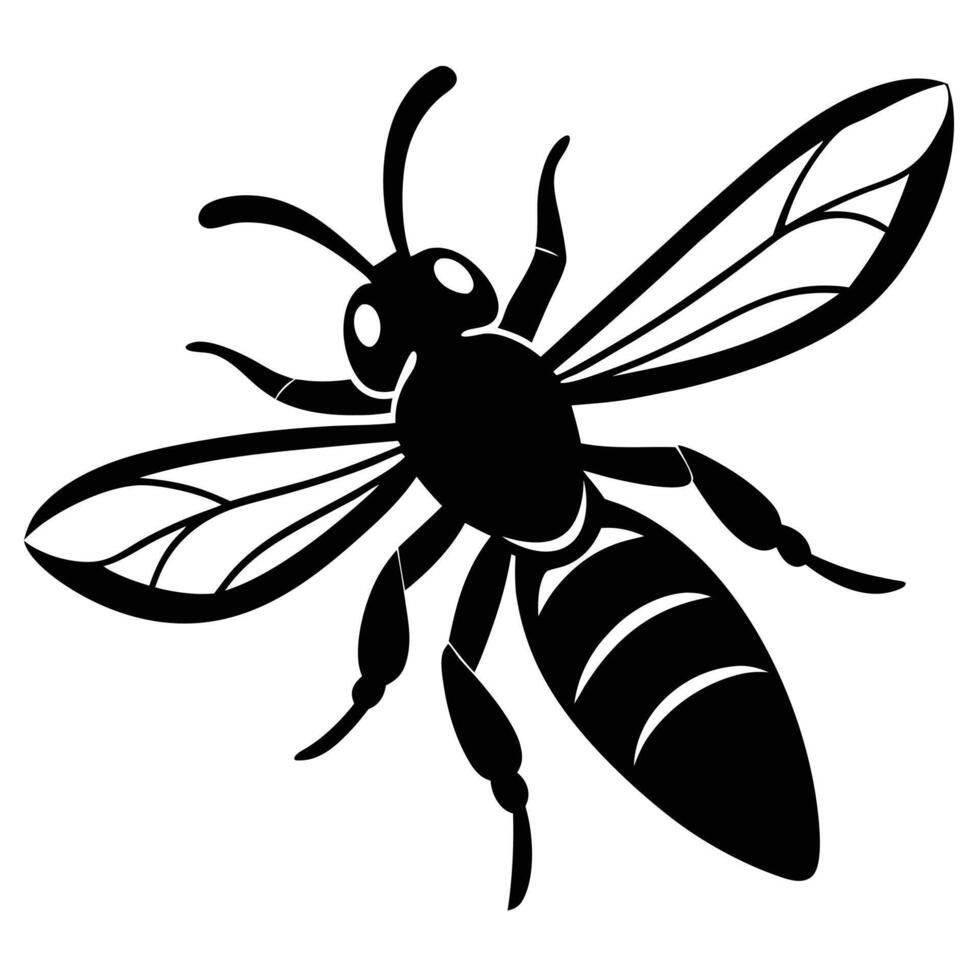 Black and white stylized illustration of a honey bee insect with detailed wings and body structure. vector