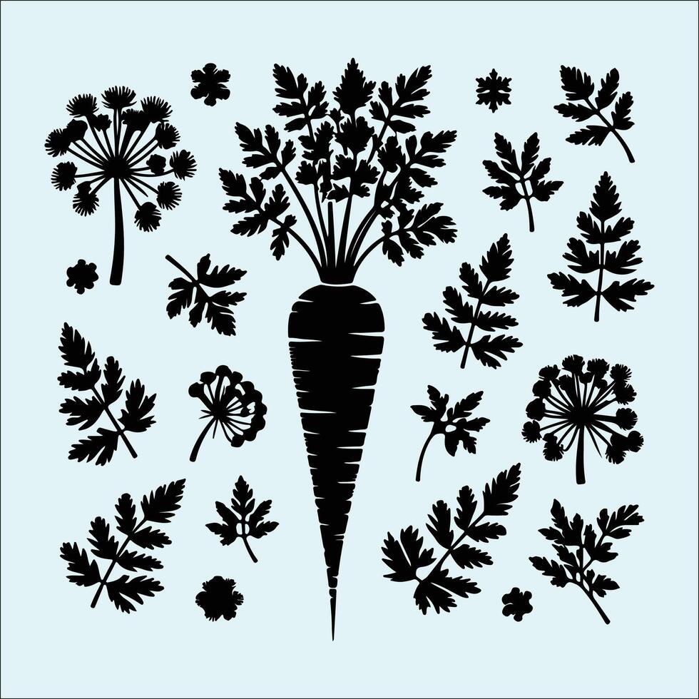 Parsnip Vegetable Icon Silhouette for Agriculture Designs vector