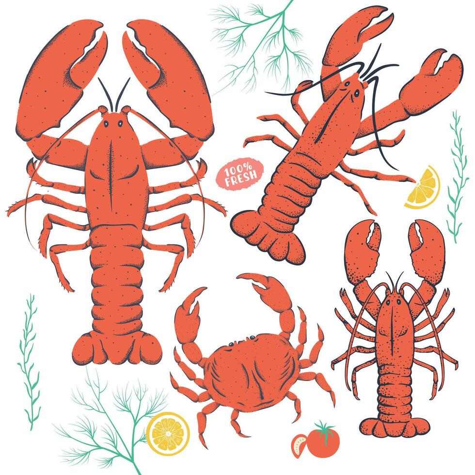 Lobster, Crab fish Seafood vintage artwork for t shirt print , poster and other uses. vector