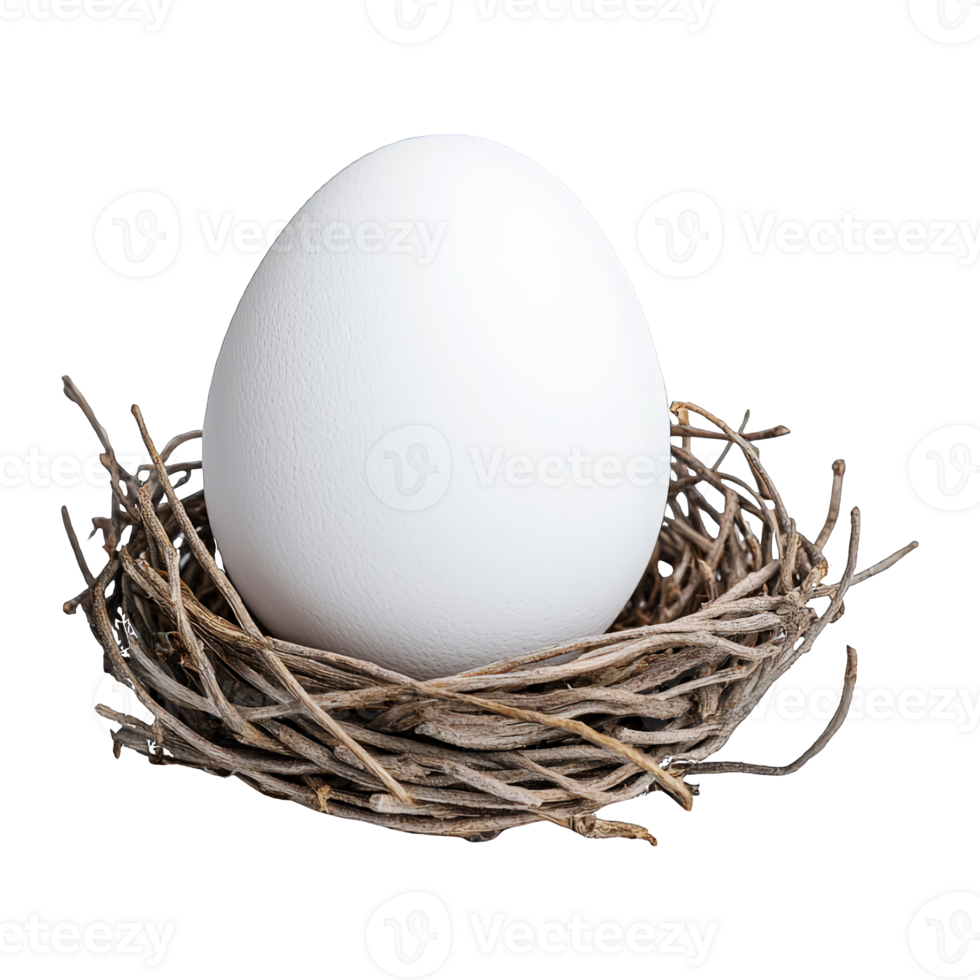 Egg in nest protein ingredient rustic realism still life png