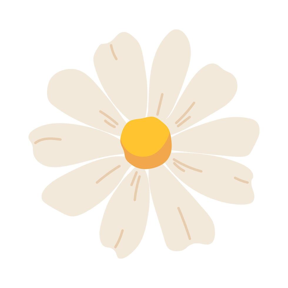 Daisy flower on white background. Cute hand drawn chamomile, spring and summer flower. botanical elements vector