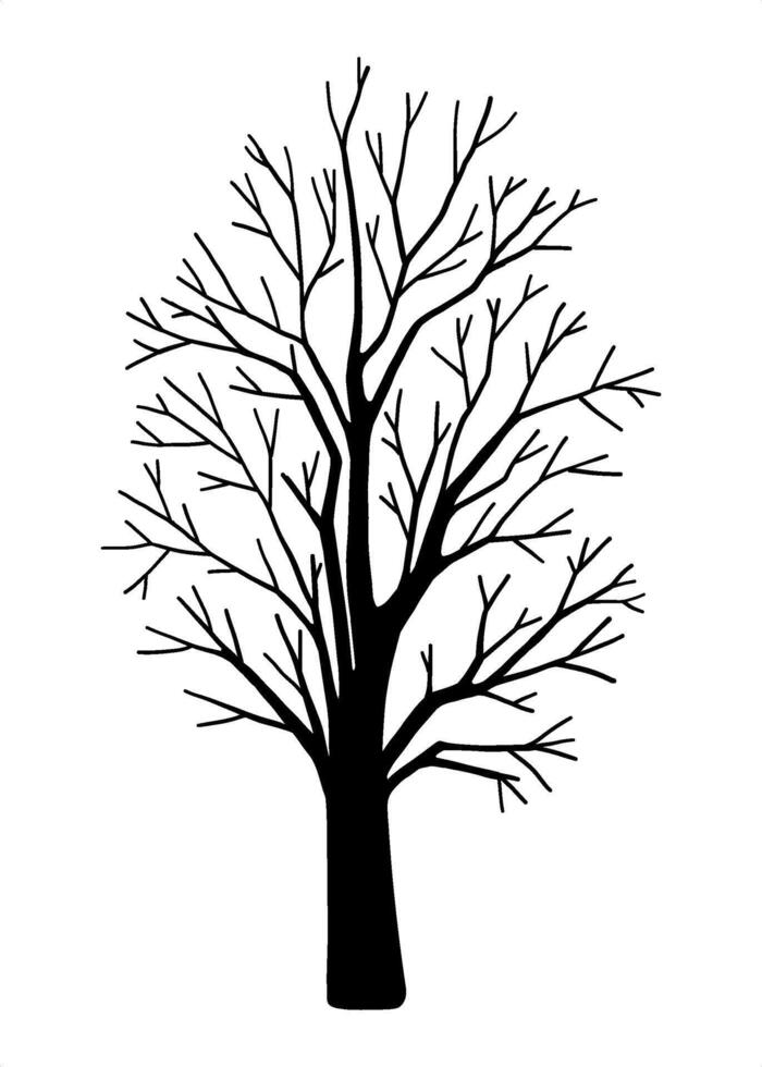 Big leafless Bare tree silhouette, decorative botany design elements, natural organic eco plat for Hallnt system, autumn or winter isolated clip aroween banner layout, hand drawn forest concept vector